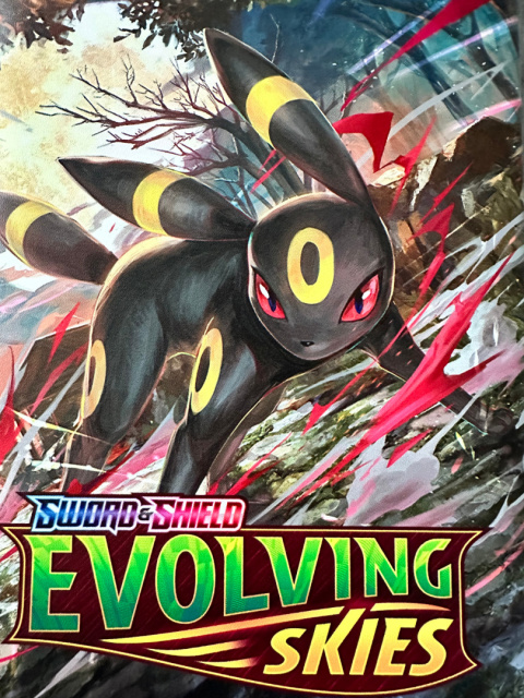 Album segregator na 400 kart Pokemon Sword Shield Evolving Skies