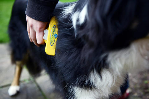 Furminator zgrzebło dla dużego psa do długiej sierści szczotka L Furminator zgrzebło dla dużego psa do długiej sierści szczotka L