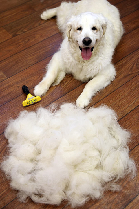 Furminator zgrzebło dla dużego psa do długiej sierści szczotka L Furminator zgrzebło dla dużego psa do długiej sierści szczotka L