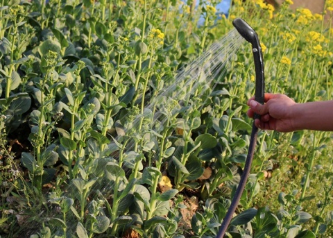 Prysznic turystyczny przenośny kempingowy natrysk samochodowy 12V 3A