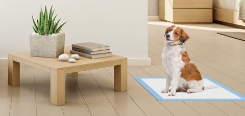 Podkłady higieniczne 90x60 dla zwierząt psa maty do sikania chłonne 50 szt