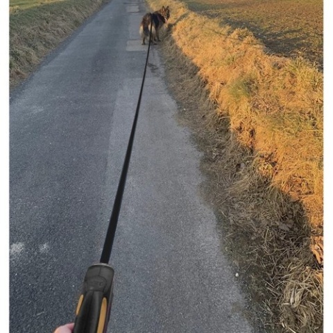 Smycz automatyczna dla psa PURLov 8m do 50kg – solidna smycz z blokadą i ergonomiczną rączką