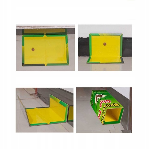 5x Lep na Myszy Szczury Gryzonie Pułapka Lepowa Klejowa Mocna 12x17